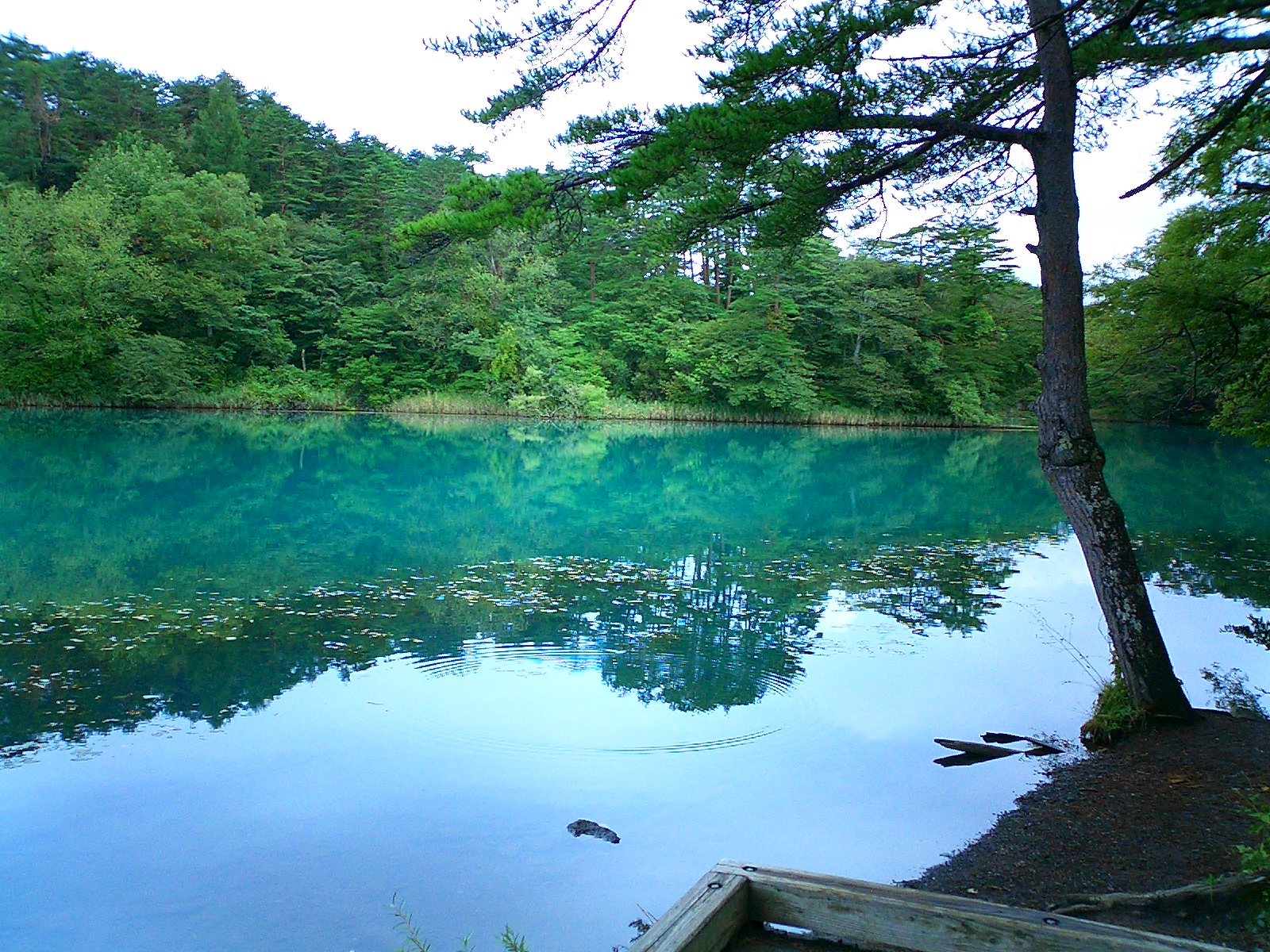 Fukushima